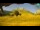 Webcam in Prati di Tivo, 12.7 mi away