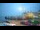 Webcam in 't Horntje (Texel), 11.4 mi away