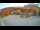 Webcam in Prati di Tivo, 58.4 km