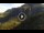 Webcam in Artesina, 0.9 mi away