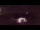Webcam in Contis, 5.5 mi away
