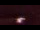 Webcam in Contis, 5.5 mi away