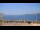 Webcam in Le Pradet, 3.4 mi away