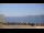 Webcam in Le Pradet, 8.9 km