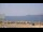 Webcam in Le Pradet, 2.4 km