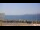 Webcam in Le Pradet, 8.1 km entfernt