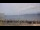 Webcam in Le Pradet, 8.2 km
