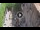 Webcam in Verona, 0.5 km entfernt
