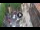 Webcam in Vérone, 1.8 km