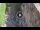 Webcam in Verona, 19.4 km