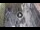 Webcam in Verona, 0.6 mi away