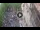 Webcam in Verona, 0.6 km