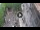 Webcam in Verona, 0.6 mi away