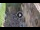 Webcam in Verona, 0.6 km