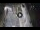 Webcam in Verona, 0.7 mi away