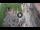 Webcam in Verona, 0.1 mi away