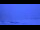 Webcam in Nesselwang, 2 mi away