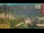 Webcam in Torbole (Gardasee), 16.4 km entfernt