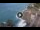 Webcam in Riomaggiore (Cinque Terre), 8.4 mi away