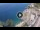 Webcam in Riomaggiore (Cinque Terre), 5.8 km entfernt