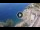 Webcam in Riomaggiore (Cinque Terre), 2.2 mi away