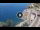 Webcam in Riomaggiore (Cinque Terre), 1.9 mi away
