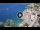 Webcam in Riomaggiore (Cinque Terre), 0.8 km