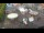 Webcam in Genemuiden, 23.9 km entfernt