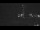 Webcam in Scheveningen, 6 mi away