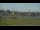 Webcam in Zaanse Schans, 17.2 km entfernt
