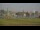 Webcam in Zaanse Schans, 23.9 km