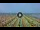 Webcam in Gatteo a Mare, 3.7 km