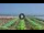Webcam in Gatteo a Mare, 4.7 km entfernt