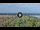 Webcam in Gatteo a Mare, 5.4 km