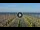 Webcam in Gatteo a Mare, 4.8 km