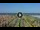 Webcam in Gatteo a Mare, 0.1 mi away