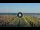 Webcam in Gatteo a Mare, 0.1 km
