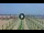 Webcam in Gatteo a Mare, 3.9 mi away