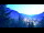 Webcam in Mayrhofen, 1.9 km