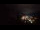 Webcam in Mayrhofen, 2.5 mi away