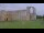 Webcam in Maillezais, 21.7 mi away