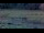 Webcam in Les Landes-Genusson, 0 mi away