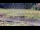 Webcam in Les Landes-Genusson, 0 km
