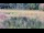 Webcam in Les Landes-Genusson, 5.7 km entfernt