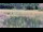 Webcam in Les Landes-Genusson, 5.7 km entfernt