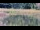 Webcam in Les Landes-Genusson, 5.7 km entfernt