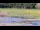 Webcam in Les Landes-Genusson, 2.2 mi away