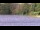 Webcam in Les Landes-Genusson, 0 km entfernt