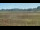 Webcam in Les Landes-Genusson, 0 mi away