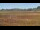 Webcam in Les Landes-Genusson, 0 km